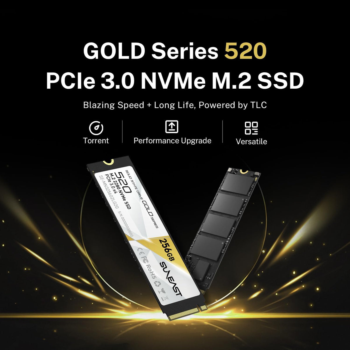 256GB M.2 2280 PCIe 3.0 NVMe SSD N39028