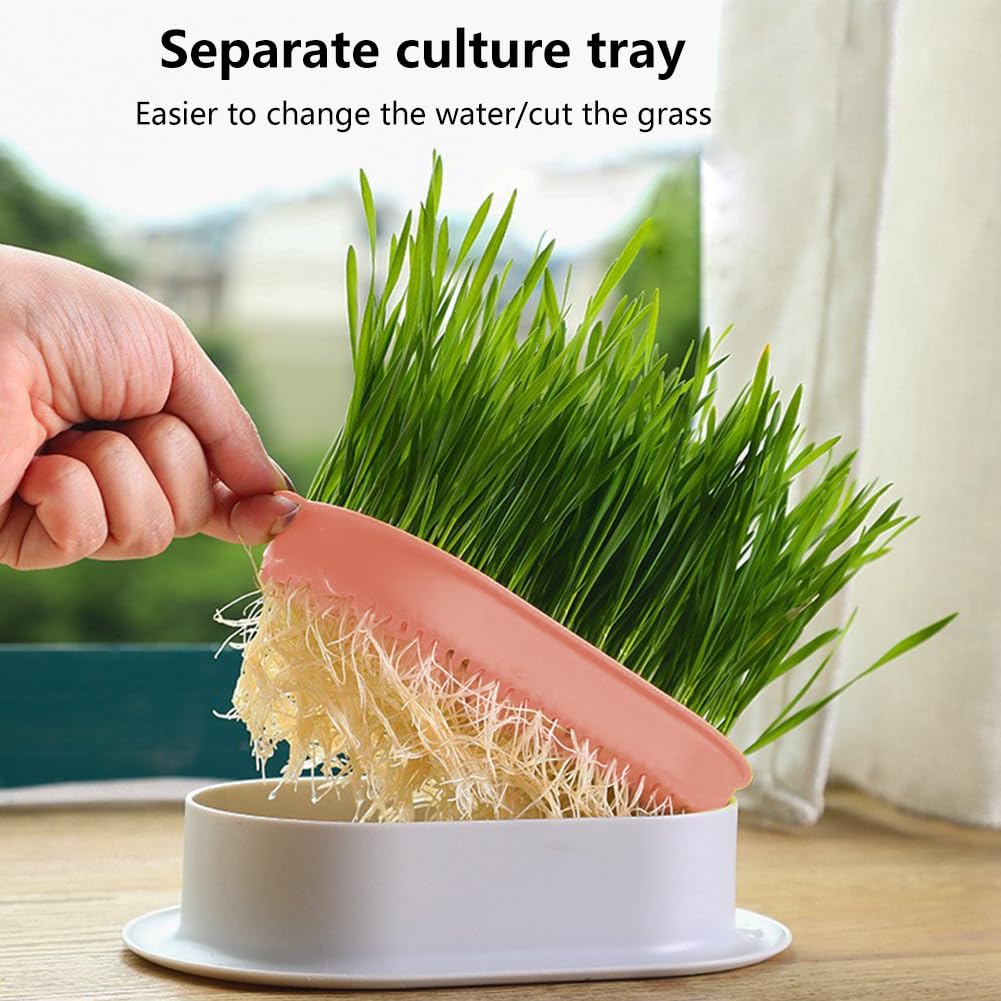Cat Grass Planter Box, 3 Pcs Plastic Growing Trays T510367