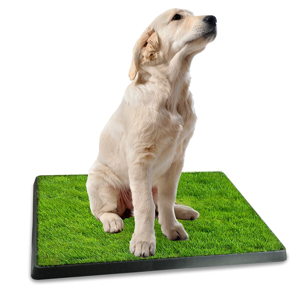 Indoor Dog Toilet Puppy Training Pad E405960