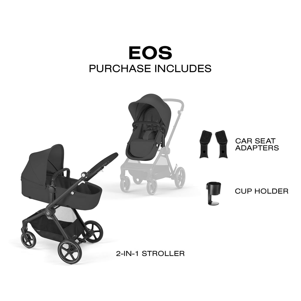 2-in-1 Baby Stroller W421