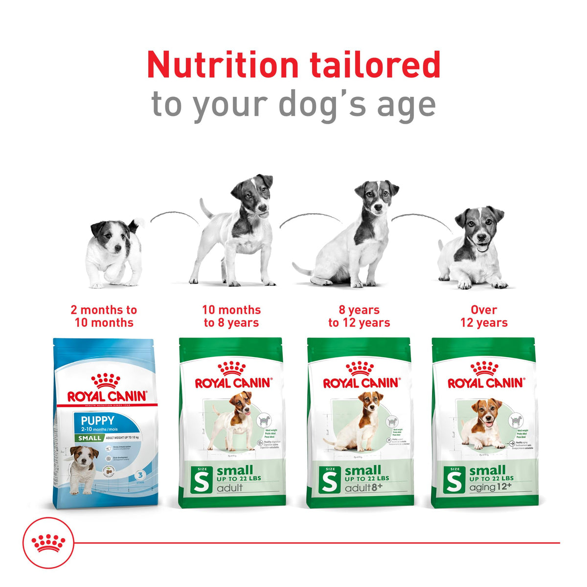 Small Breed Dry Dog Food 14 lb Bag F725101