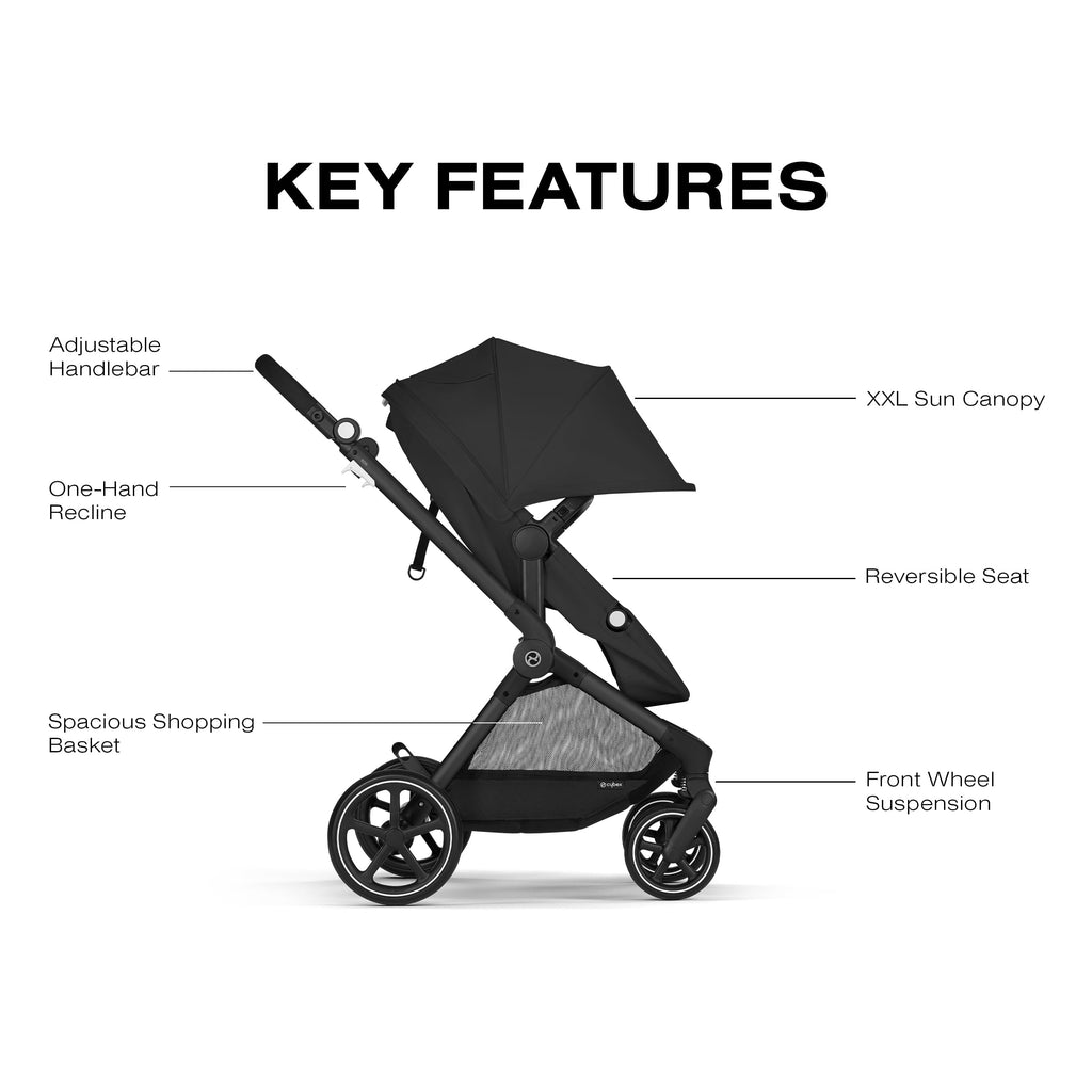 2-in-1 Baby Stroller W421