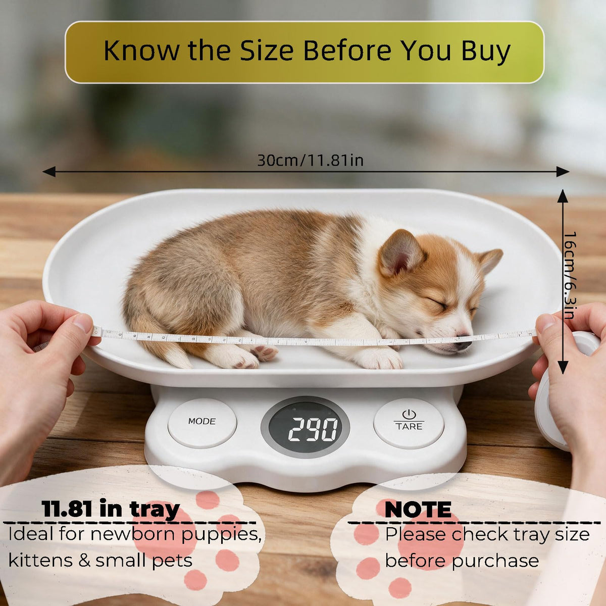 Digital Pet Scale Z449382