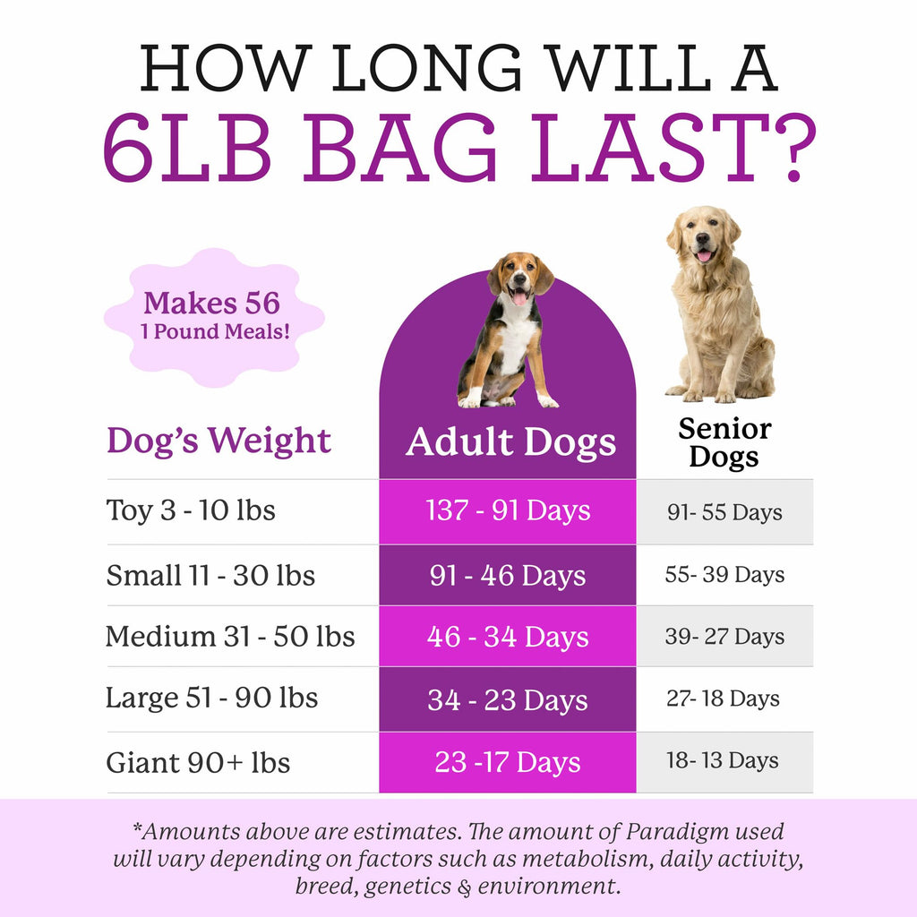 Green Superfood Base Mix for Dogs 6 lb V5165