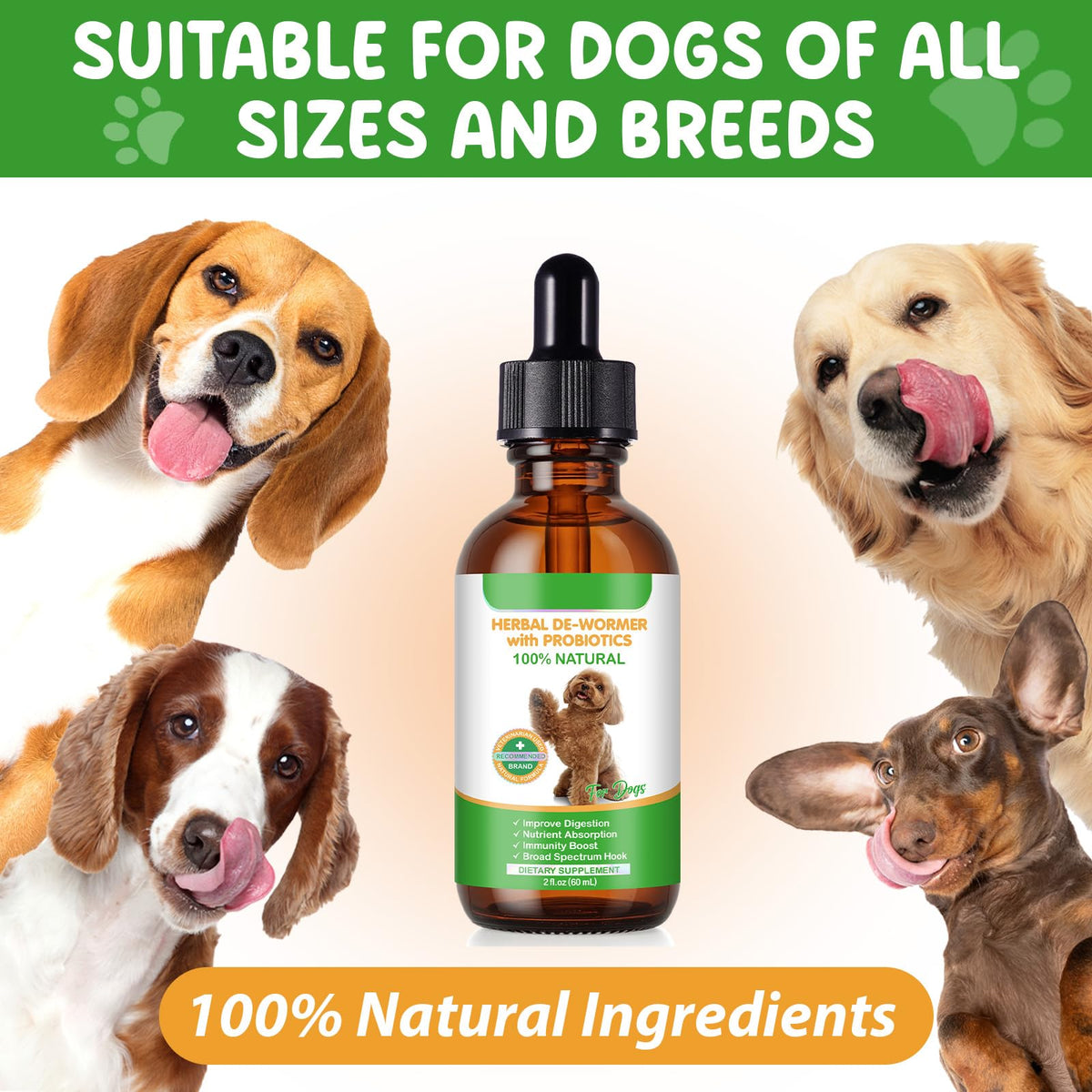 2 Fl Oz Herbal Digestive Support for Dogs T37816