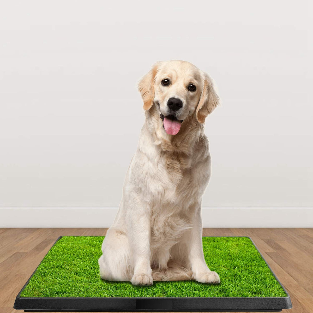 Indoor Dog Toilet Puppy Training Pad E405960