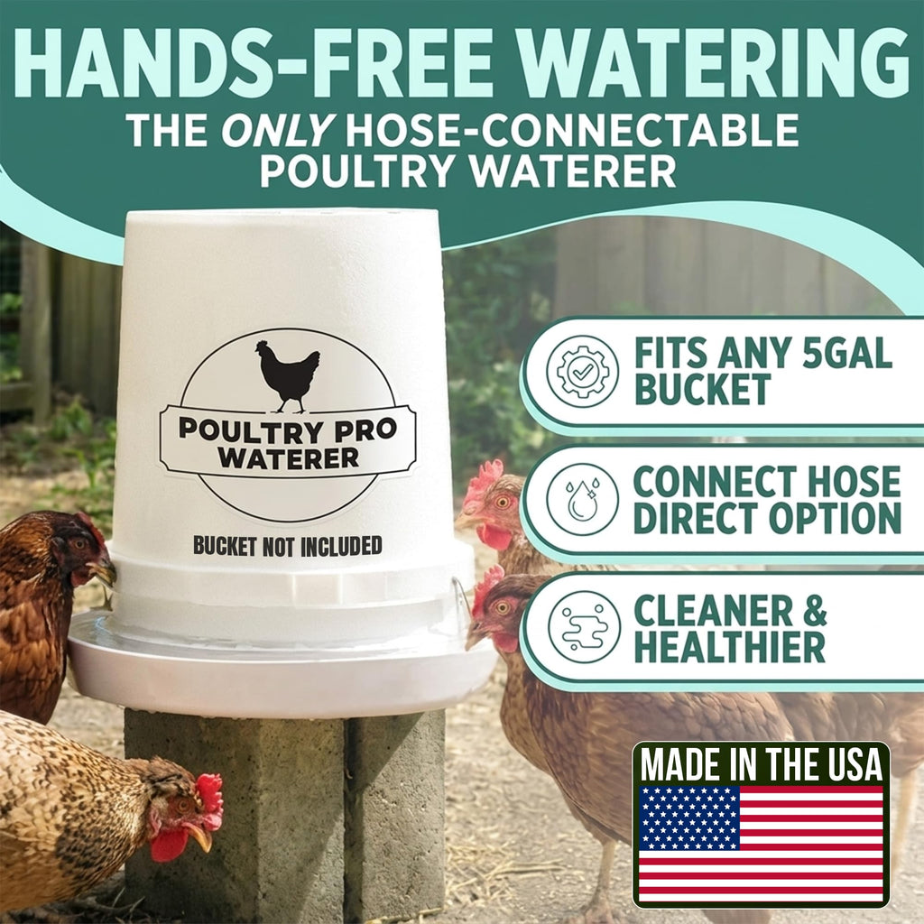 Chicken Feeder and Waterer Set with 3 Ports K882656