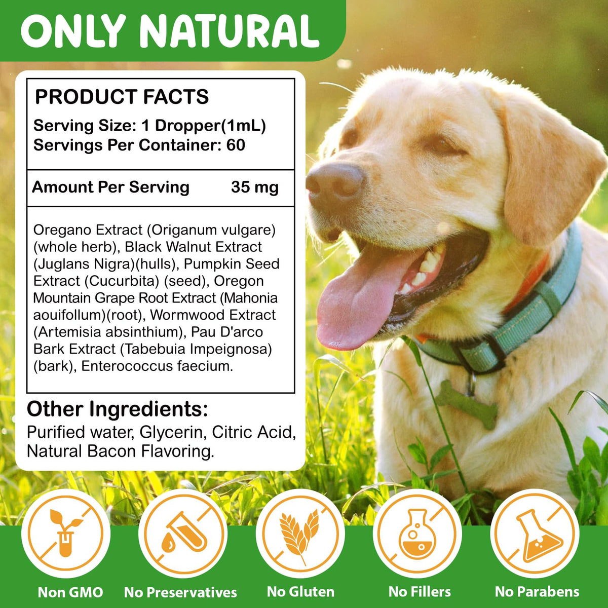 2 Fl Oz Herbal Digestive Support for Dogs T37816
