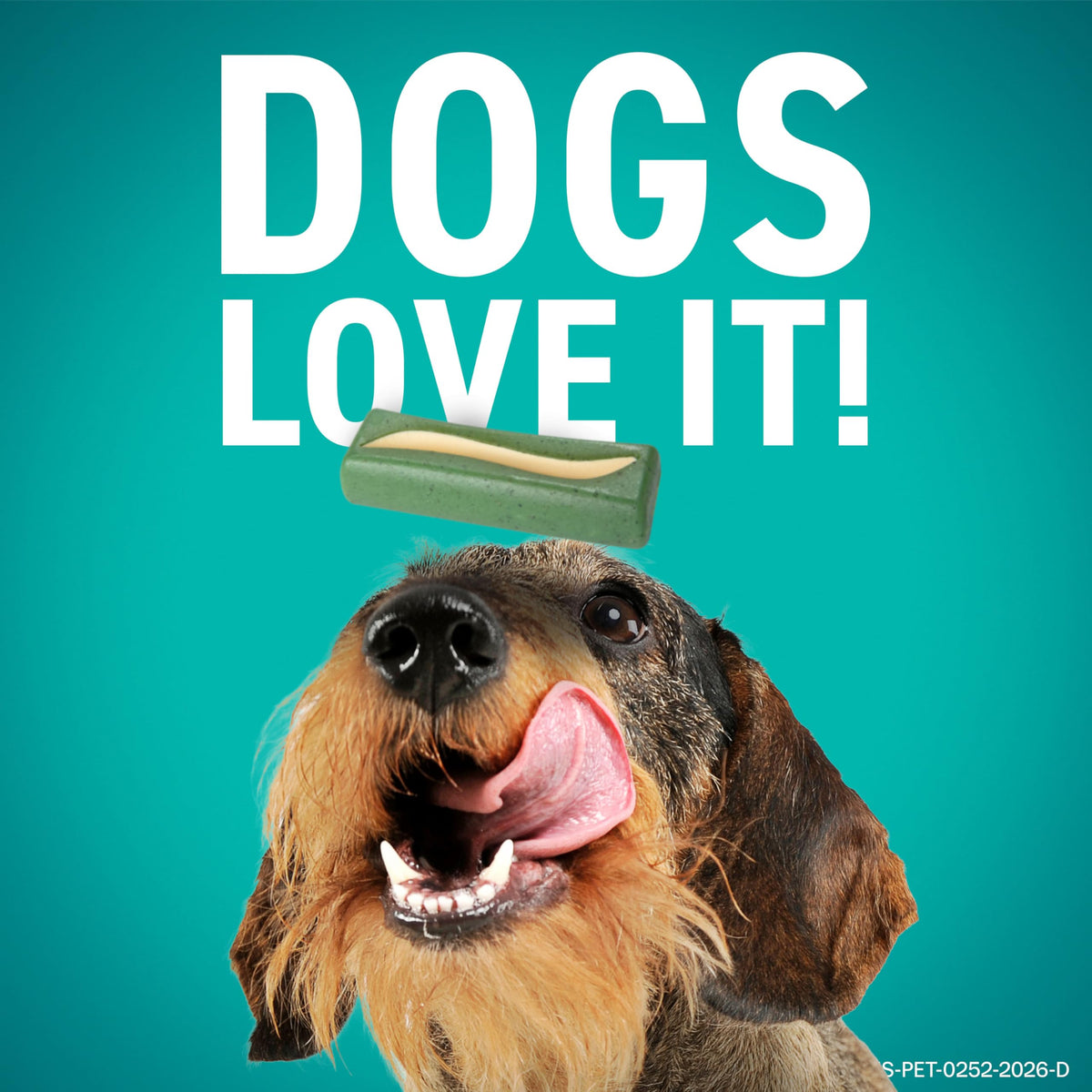Dental Hygiene Chews for Dogs B2696