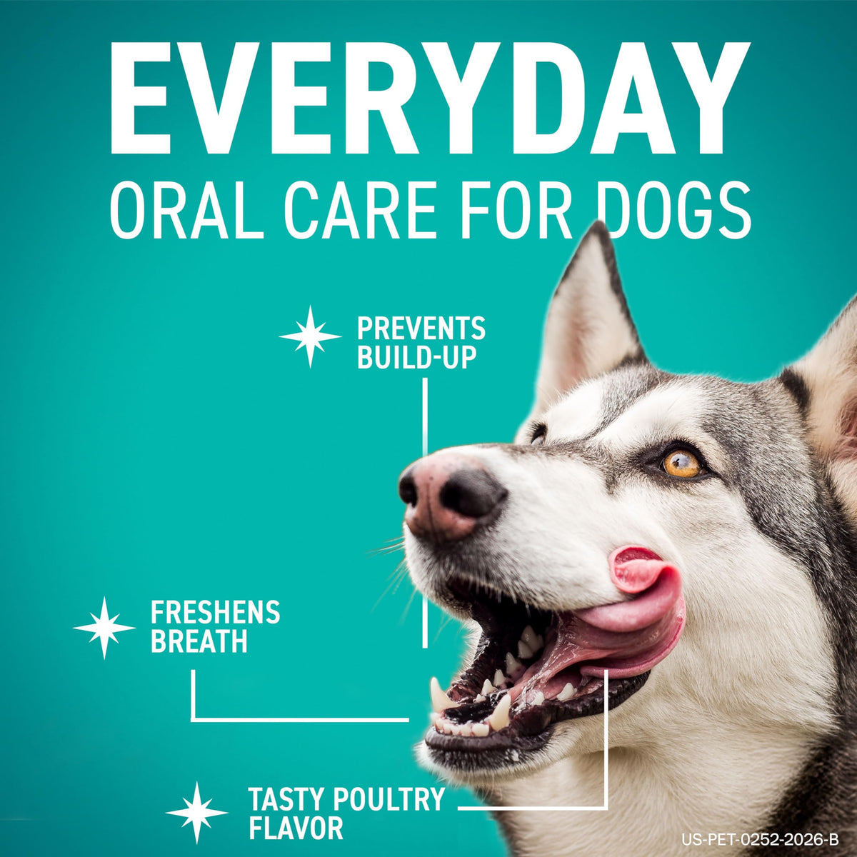 Dental Hygiene Chews for Dogs B2696