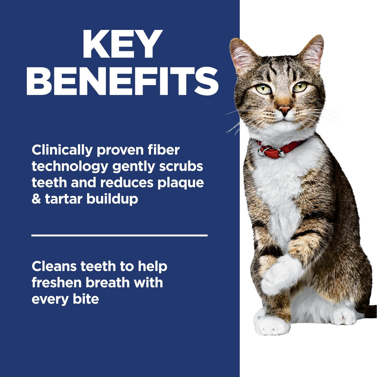 Adult Oral Care Dry Cat Food I1051