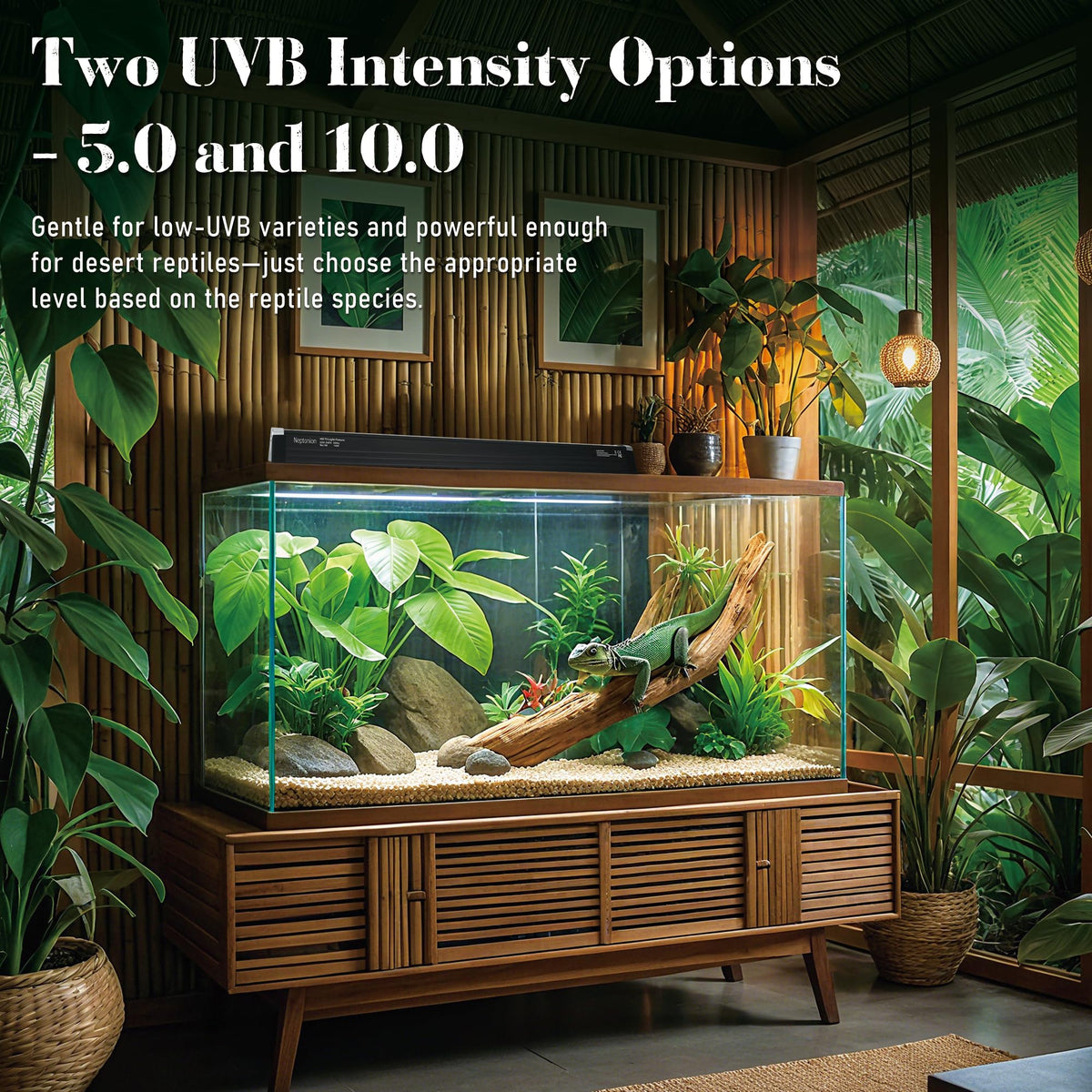 T5 HO UVB 5.0 Light Fixture with Tube T29640